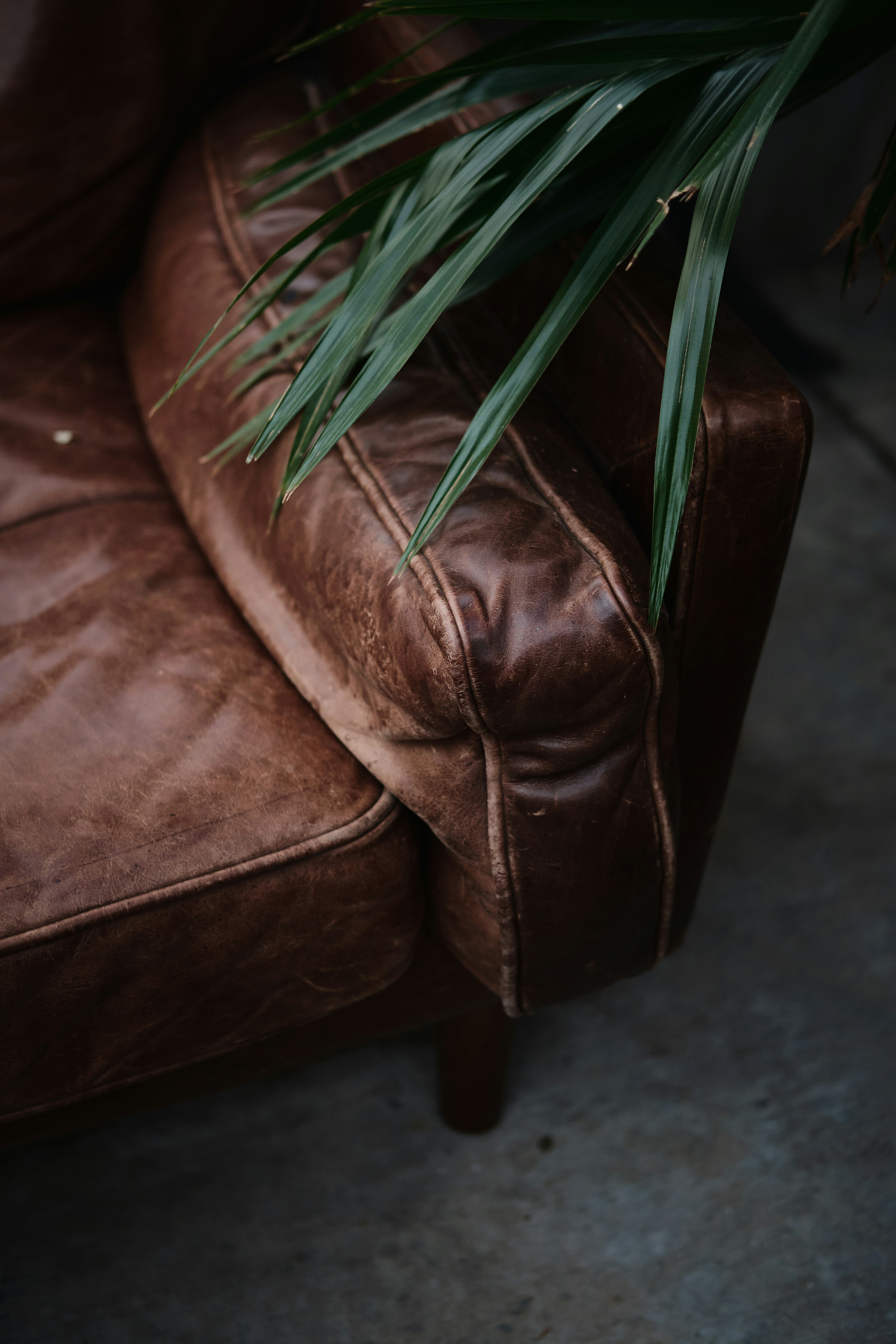 Grandpa's Chair