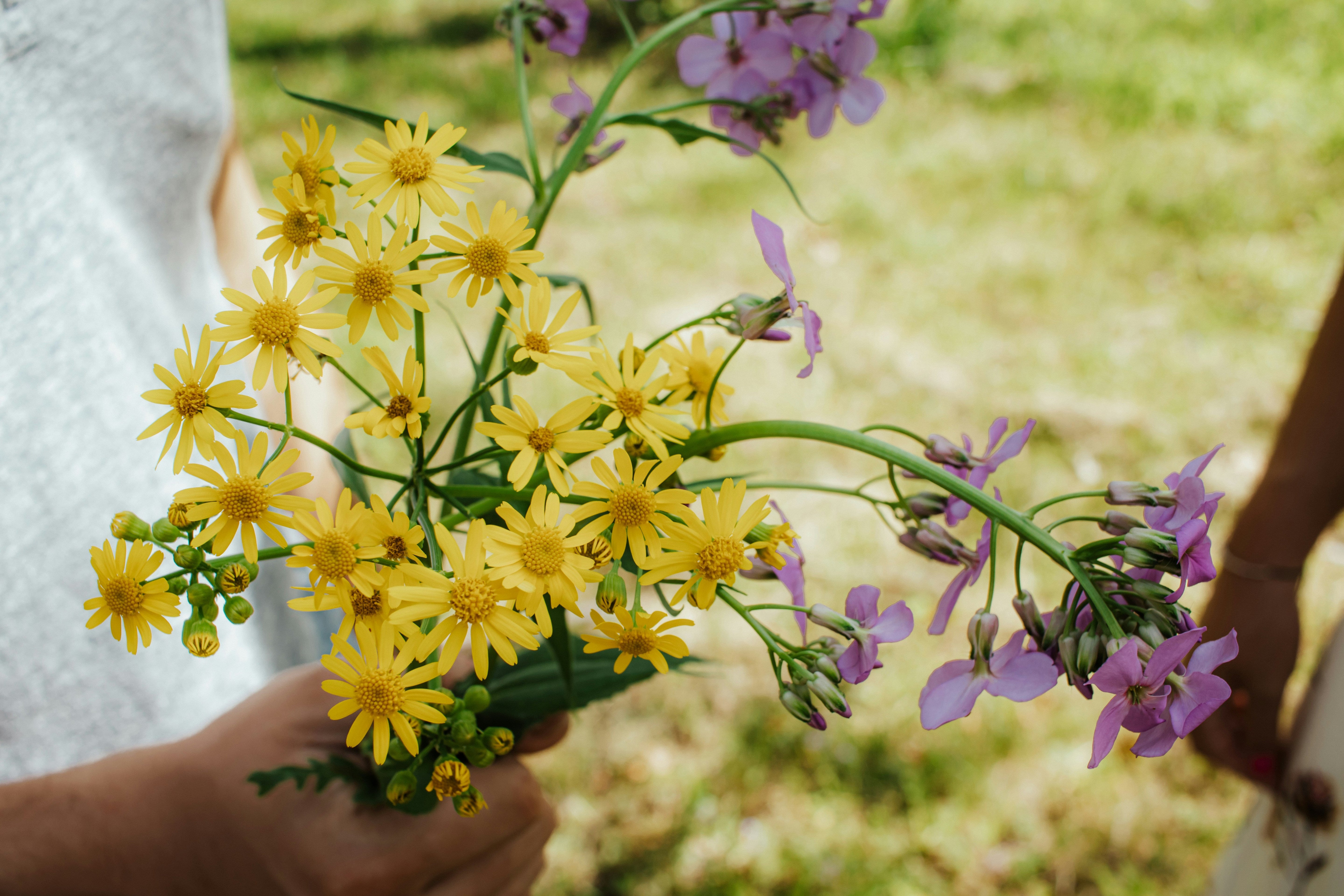 Picking Wild Flowers