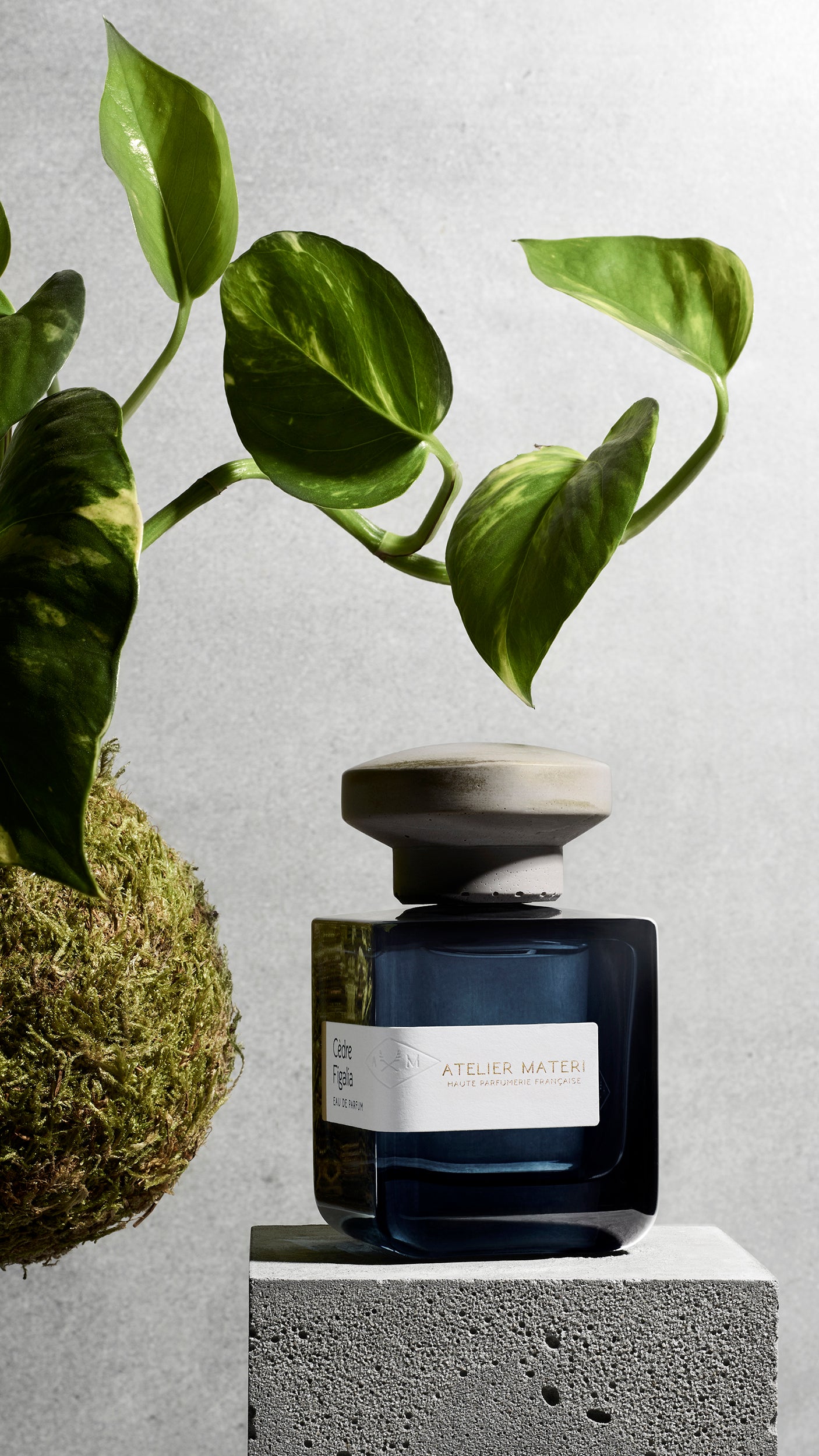Cèdre Figalia – Ode To Perfume